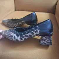 کیف و کفش ست خارجی پلنگی|کیف، کفش، کمربند|قم, حاج زینل|دیوار