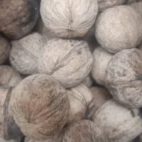 گردوبونات|خوردنی و آشامیدنی|شیراز, نصر|دیوار