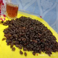 کشمش تاکستان