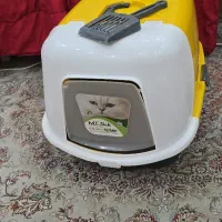 باکس گربه