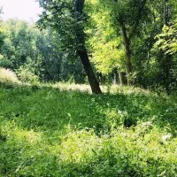 زمین-باغی-منطقه-خوش-اب-وهوای-اسفنجان