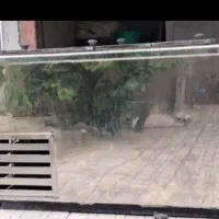 فریزر صندوقی در حد نو متور دلم. دانفوس
