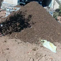 کود حیوانی خشک