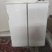 یخچال دو قلو