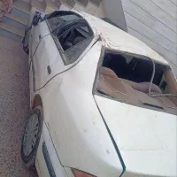 سمند تصادفی