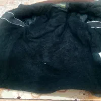 کافشن امریکائی 7جیب لطفامتن اگهی را بادقت بخوانید.|لباس|زاهدان, |دیوار