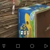 کارتن حعت اسباب کشی بزرگ45کوچک30