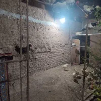 اجاره خانه 250 متری|اجارهٔ خانه و ویلا|قم, شاد قلی|دیوار