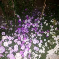 دوطبقه-شهرک-امید-جهاداباد