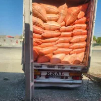 کاه گندم|عمده‌فروشی|نیک شهر, |دیوار