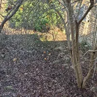 مغاطه-تجاری-در-خ-امام