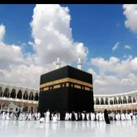 فروش فوری فیش عمره