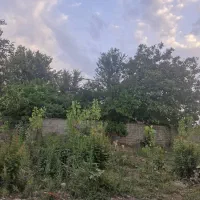 زمین مسکونی ۲۴۲ متر|فروش زمین و ملک کلنگی|رشت, پسیخان|دیوار