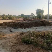 سمات حیوانی