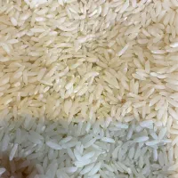 برنج|خوردنی و آشامیدنی|محمودآباد, |دیوار