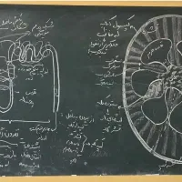 تدریس زیست و مشاوره کنکور رتبه برتر
