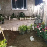خدمات باغبانی|خدمات باغبانی و درختکاری|سنگر, |دیوار