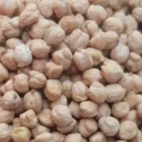 خرید و فروش انواع حبوبات