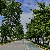 112متر-فول-منطقه-برند-این-لوکیشن