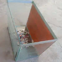 آکواریوم ماهی