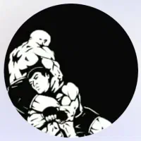 آموزش حرفه ای MMA*Grappling