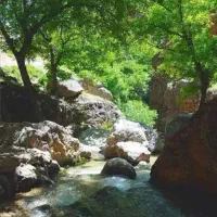 طبیعت گردی تیم دو نفره