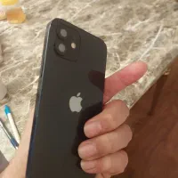 ایفون ۱۲ نرمال|موبایل|چالوس, |دیوار