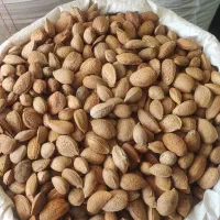 بادام امسالی شیرین بیرجندی