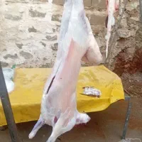 انواع گوشت خورشتی و کبابی