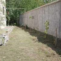سم پاشی با دستگاه سمپاش|خدمات باغبانی و درختکاری|رشت, توشیبا|دیوار