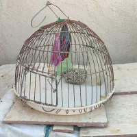 قفس پرنده طرقه عروس سهره قناری