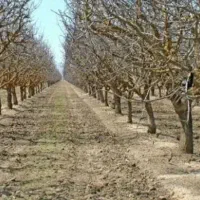 خدمات باغبانی کشاورزی تراکتور