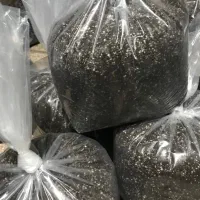خاک گلهای آپارتمانی