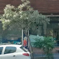 اجاره مغازه ۸۰ متری در کرمان|اجارهٔ مغازه و غرفه|تهران, کرمان|دیوار
