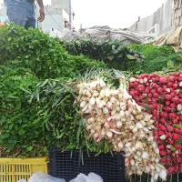 سبزی خورشتی رامهرمز|خوردنی و آشامیدنی|لردگان, |دیوار