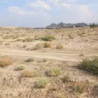 فروش-زمین-کشاورزی-و-گلخانه