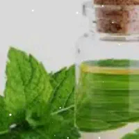 عرق نعناموجوده
