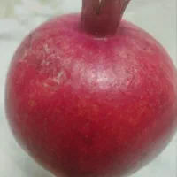 انار ممتاز  ارسال به همه جای شهر قم وشهرهای اطراف|خوردنی و آشامیدنی|کهک, |دیوار