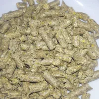 فروش خوراک دام پرواری برای گوسفند گاو و گوساله|لوازم جانبی حیوانات|شیراز, شهرک صنعتی شیراز|دیوار