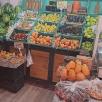 اجاره مغازه میوه فروشی