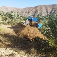 کود حیوانی درجه یک