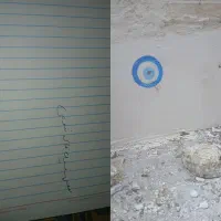 قالی معاوضه با کفتر