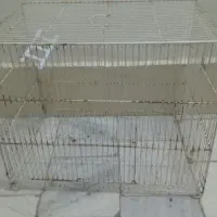 قفس|لوازم جانبی حیوانات|بیرجند, |دیوار