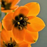 راهنمایی کنید