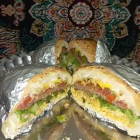 استخدام نیرو ، پیک موتوری اسنپ، جهت کار غذا شاندیز