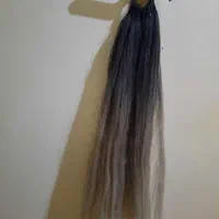 موی دم اسبی