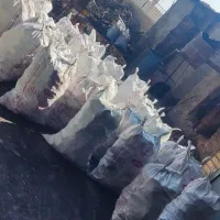 ذغال|کوهنوردی و کمپینگ|کارون, |دیوار