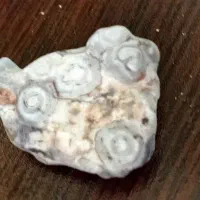 هزار چشم باباقوری