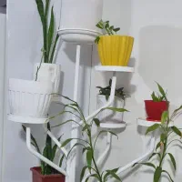 استند گل