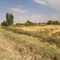 زمین ۲۰۰۰ متری بوئین زهرا در طرح هادی و روستایی|فروش زمین و ملک کلنگی|بوئین زهرا, |دیوار